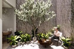 Tai Keng Garden (D19), Semi-Detached #630084151